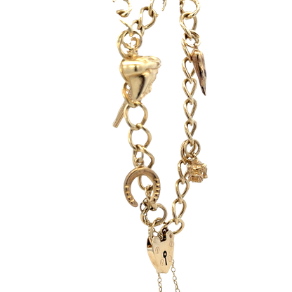 9ct yellow gold charm bracelet 20.4g (sh27852b)