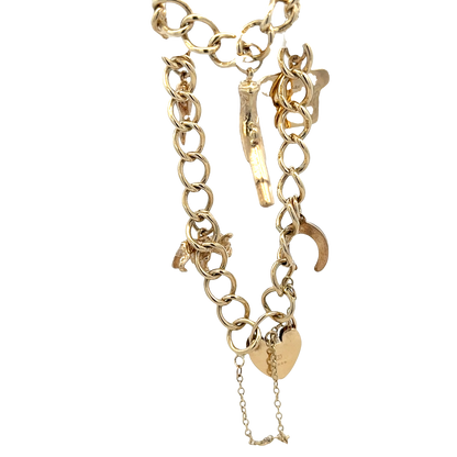 9ct yellow gold charm bracelet 20.4g (sh27852b)