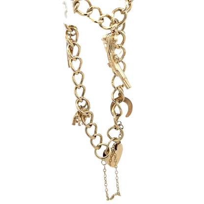 9ct yellow gold charm bracelet 20.4g (sh27852b)