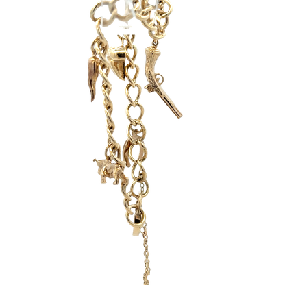9ct yellow gold charm bracelet 20.4g (sh27852b)