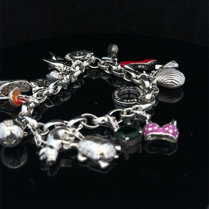 Silver charm bracelet 62g (sh25467l)