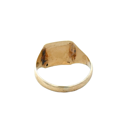 9ct yellow gold signet ring size U (sh28060b)
