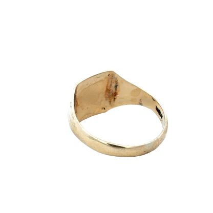9ct yellow gold signet ring size U (sh28060b)