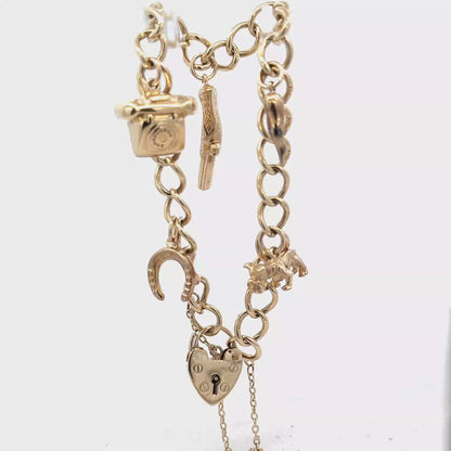 9ct yellow gold charm bracelet 20.4g (sh27852b)