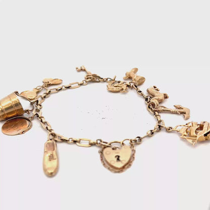 9ct yellow gold charm bracelet 16.3g (sh25882l)