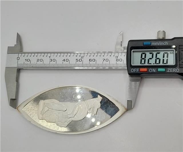 Reeves and Sons Queen's Beasts silver ingot SH25098L with detailed engravings and polished finish.