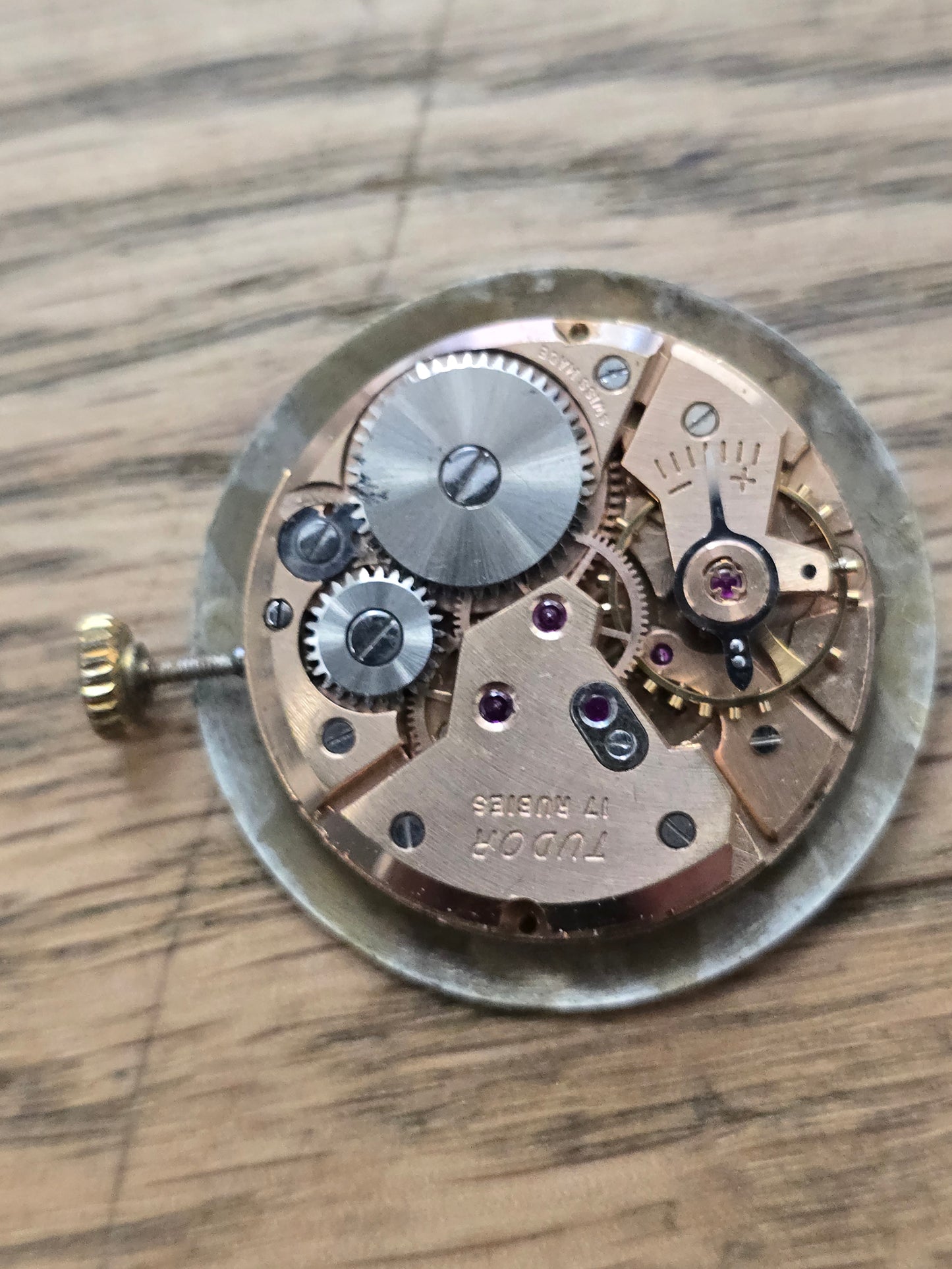 9ct Yellow gold Tudor royal watch on brown leather strap