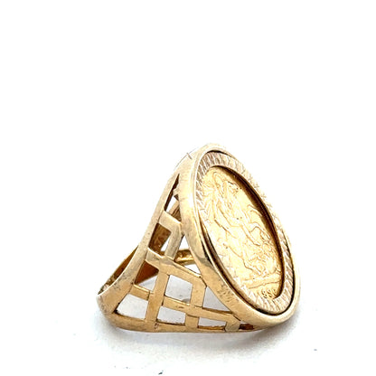 9ct yellow gold 1896 half Sovereign ring in size M1/2, featuring detailed gold craftsmanship and vintage coin design.