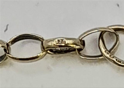 9ct yellow gold belcher chain weighing 6.6g, close-up view showing links and gold shine.