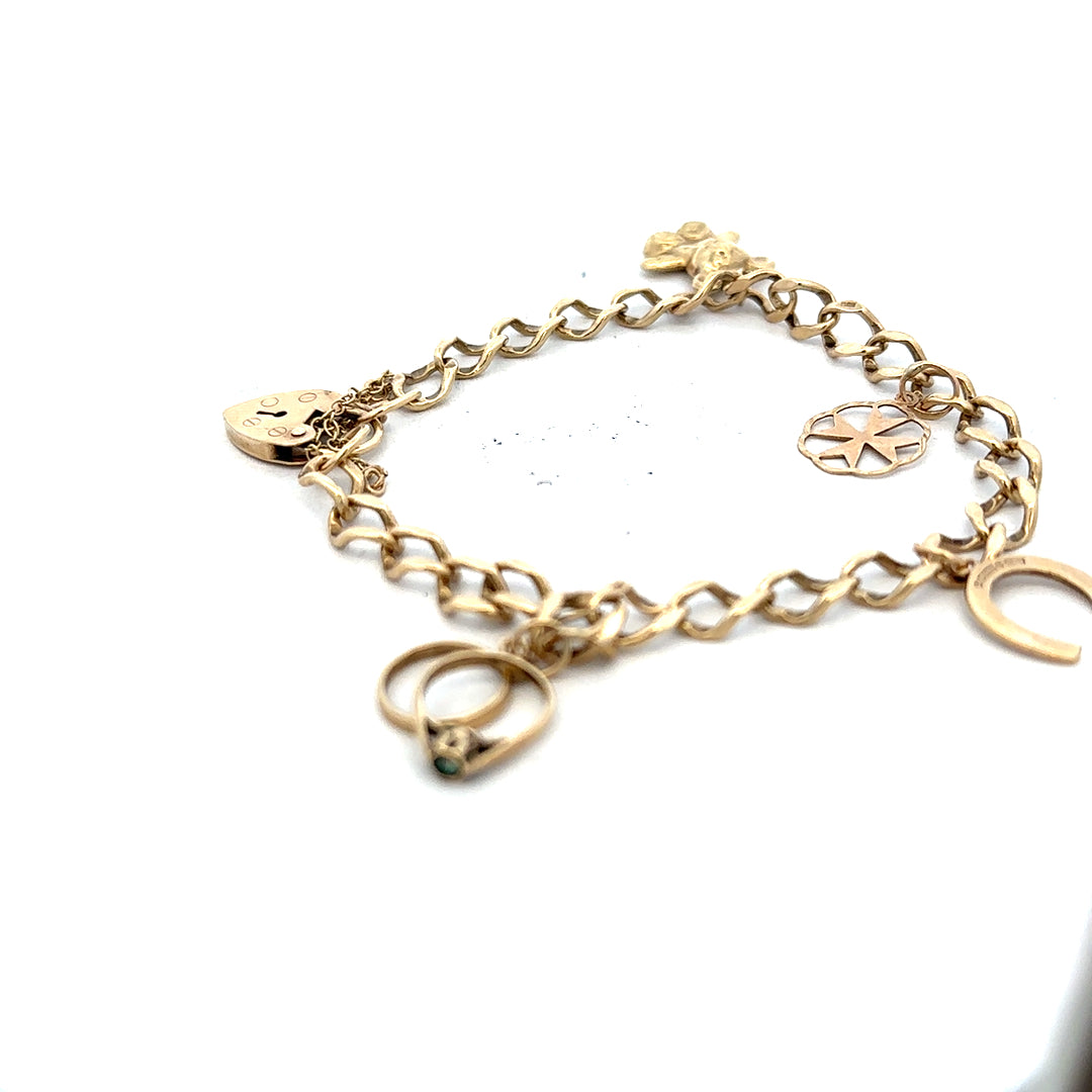 9ct yellow gold charm bracelet weighing 9.9g, featuring small decorative charms on a delicate chain.