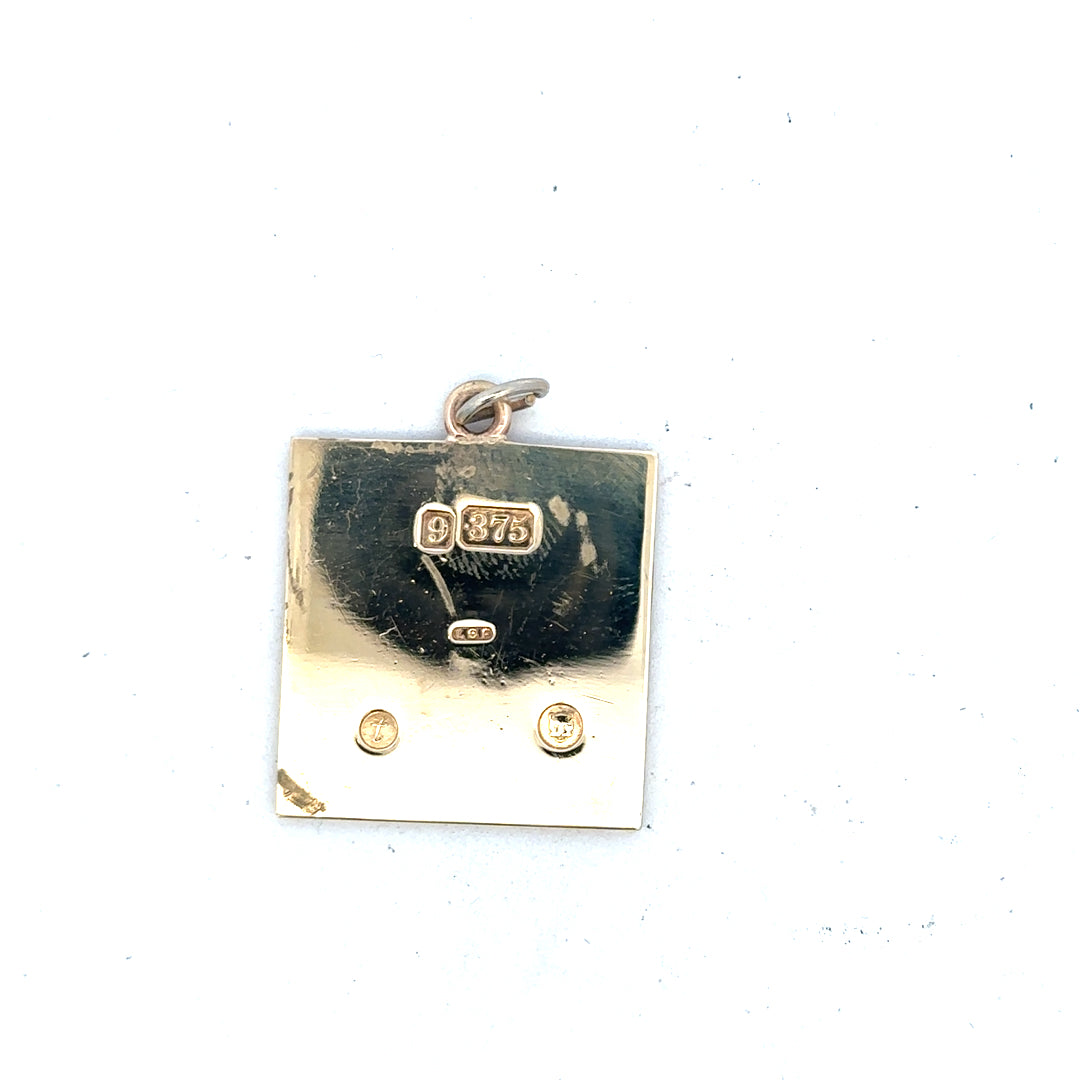 9ct yellow gold pendant weighing 9.6g, unbranded, featuring a simple elegant design, shown close-up in the product image.