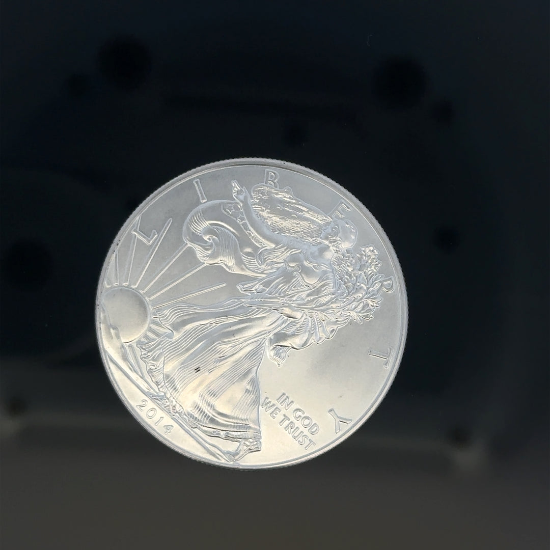 Silver one dollar coin weighing 31.2g, featuring detailed engravings, from an unbranded collection.