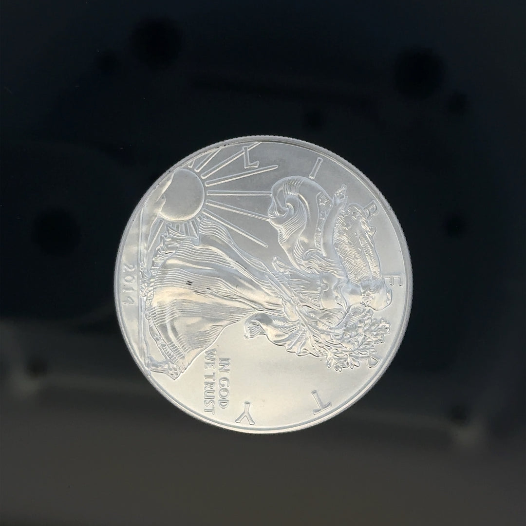 Silver one dollar coin weighing 31.2g, featuring detailed engravings, unbranded, shown from a side view.